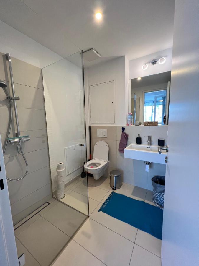 Wunderschones Apartment 维也纳 外观 照片